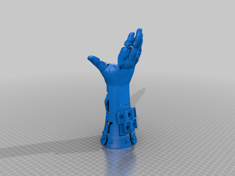 Prosthetic Arm