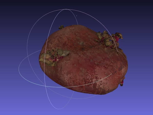 Potato Scan with NextEngine Scanner - Fruits and Vegetables