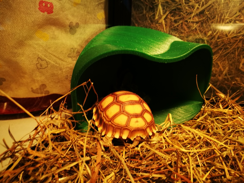 Tortoise Shelter (without pole)