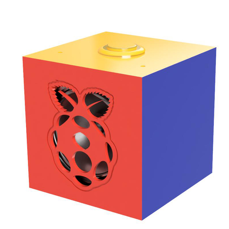Google AIY Kit Box (Portable)