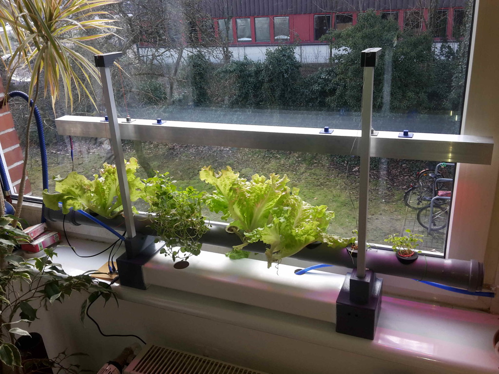 Hydroponic Window Farm v0.1