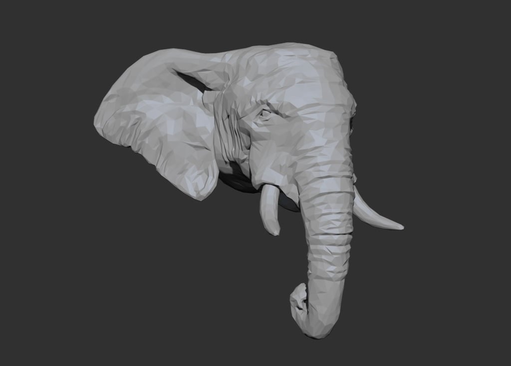 African Elephant Head - Low Poly