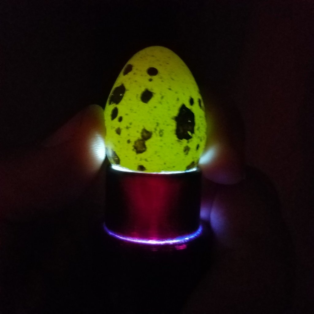 Egg Candler Attachment for Flashlight