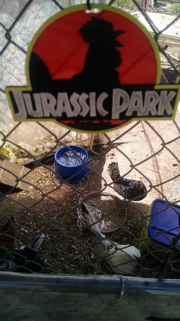 4 Color Jurassic Park Chicken sign