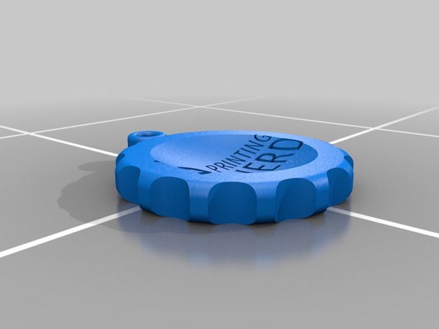3D Printing Nerd maker-coin Keyring