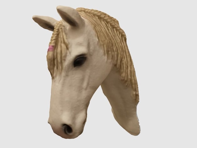 Horse Head