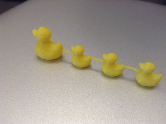 Following Ducks