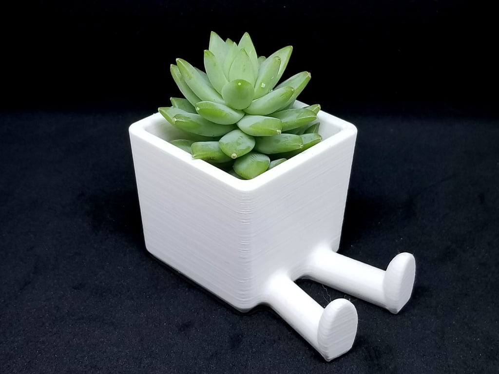 Succulent Planter / 3D printed planter / Legged Planter