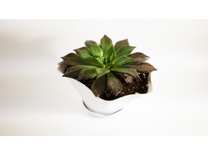Flower Vase Natural Shape W/ Base 3D model
