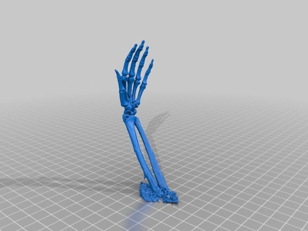Skeleton Hands - Fixed to print without support