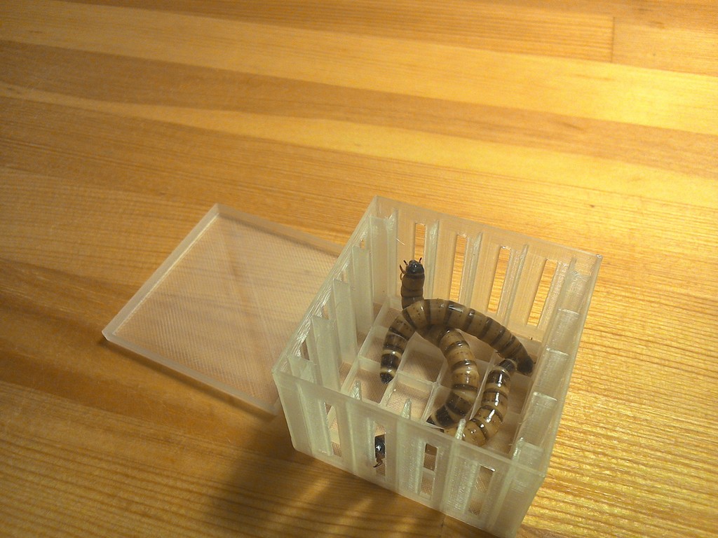  parametric insects  box