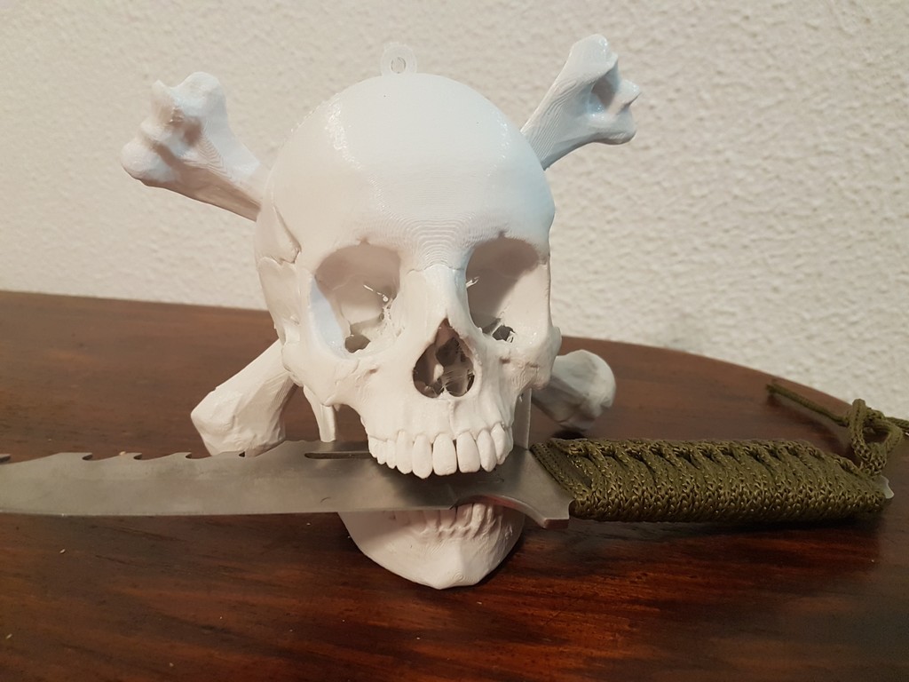 Human Skull to hang on wall, Pirate style