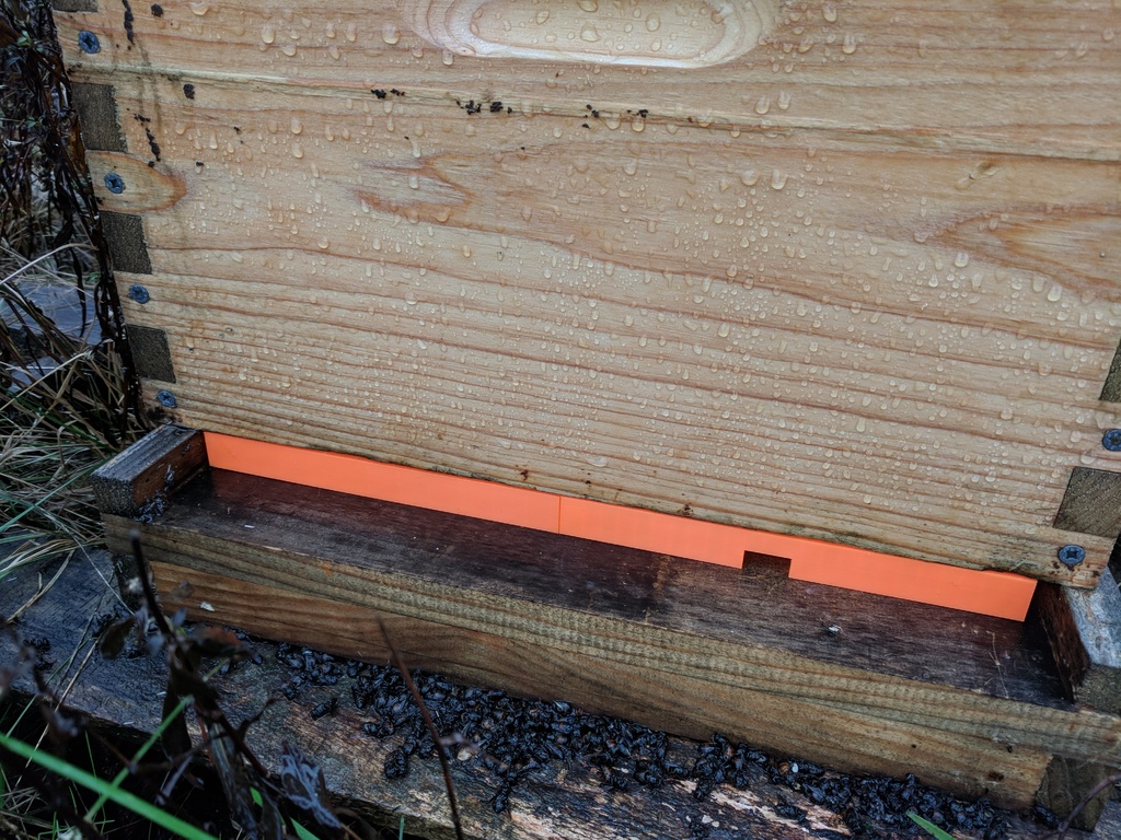 Bee Hive Entrance Reducer
