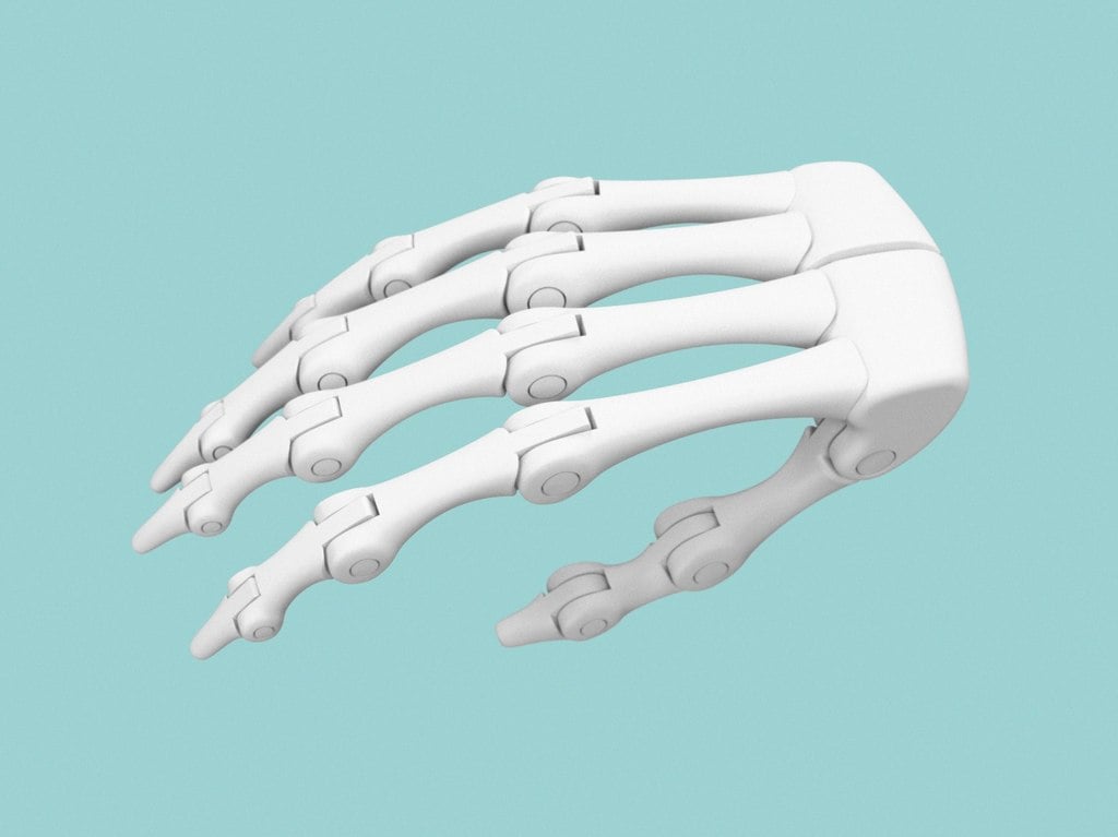 Biomimetic Hand Endoskeleton