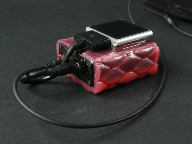 Portable amp liquid case
