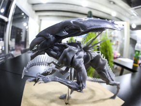 Alien Queen 3D model