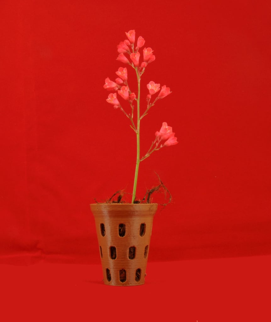 Orchid Flower Pot