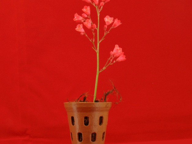 Orchid Flower Pot