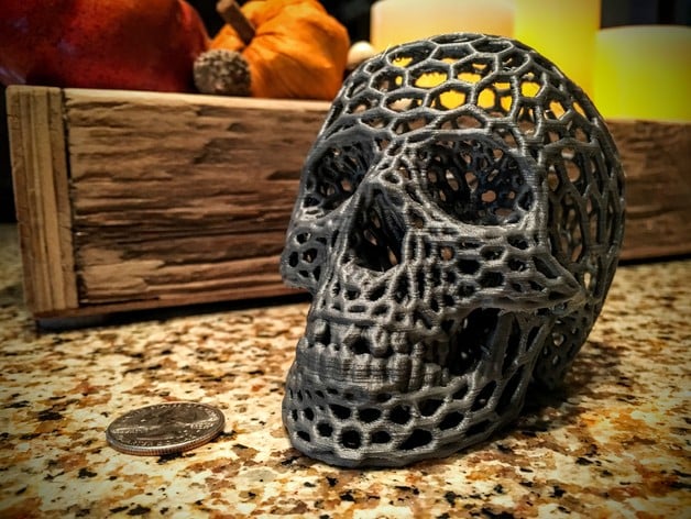 Skull Voronoi Style