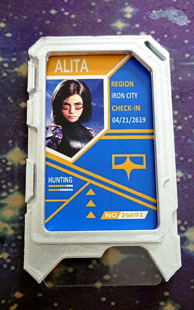 Alita Hunter Warrior ID