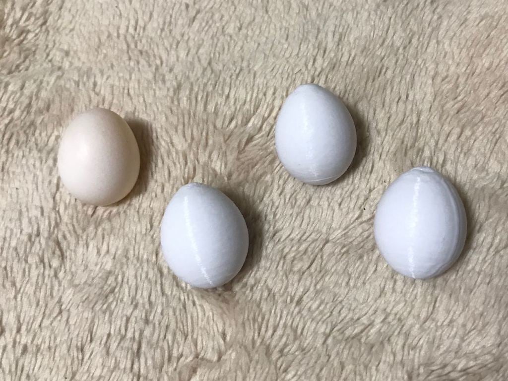 Cockatiel Fake Egg