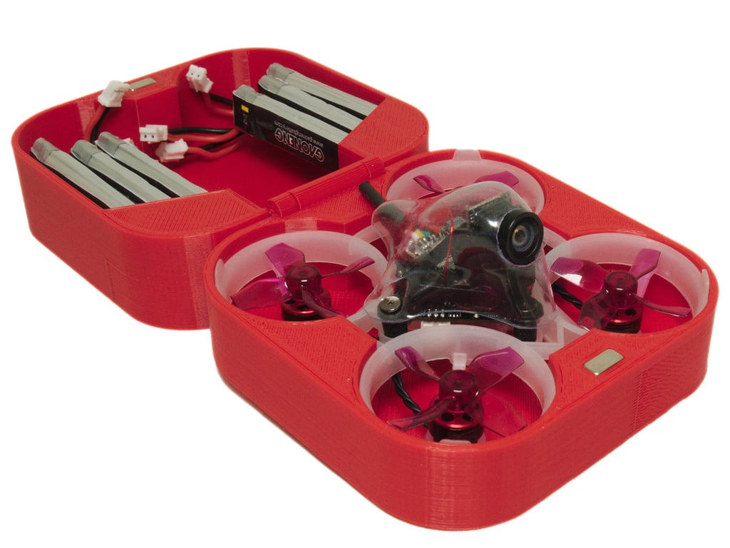 Customizable Whoop Carrying Case