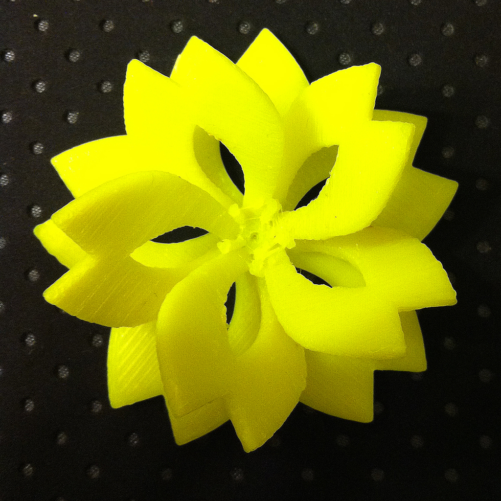 plum blossom flower
