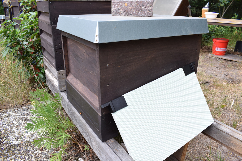 Schied für Bienenhaltung (Zander), Beekeeping separator