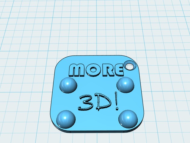 MORE 3D! key chain