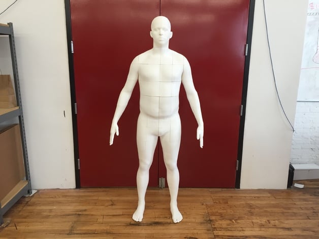 Life-Size Body Model