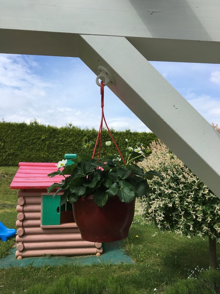 Hanging Basket Holder