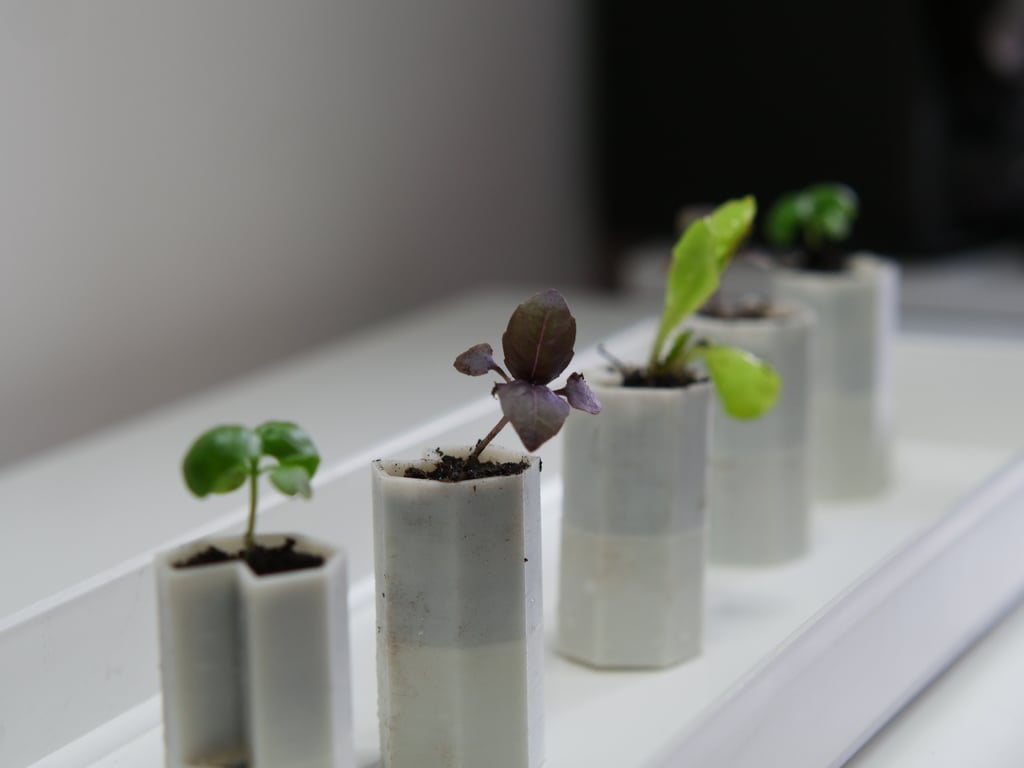 Tiny self-watering planter 