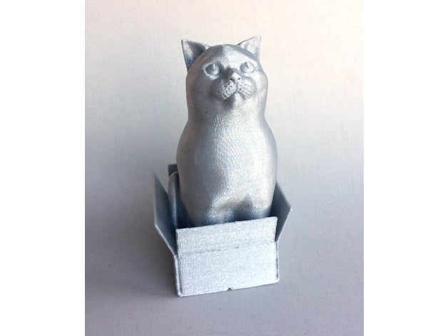 Schrodinky British Shorthair Cat Sitting In A Boxsingle Extrusion Version