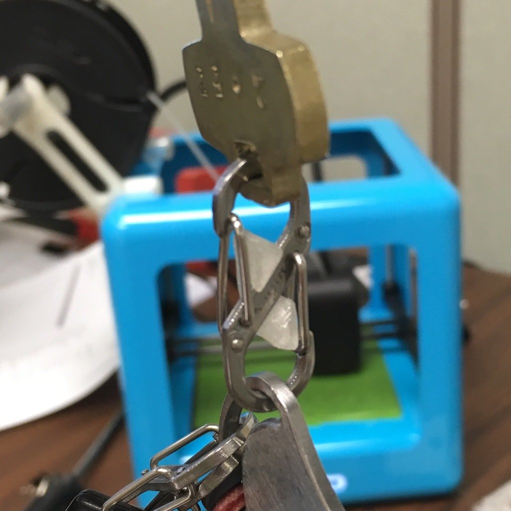 Nite Ize S Clip Lock (Keychain)
