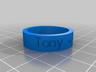 Tony <3 Amy Ring Size 16 Thick