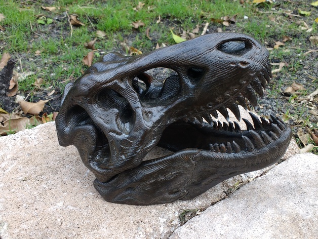 T-Rex Skull Wood Grain