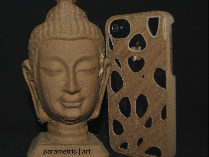 parametric | art :: voronoi iphone4 case