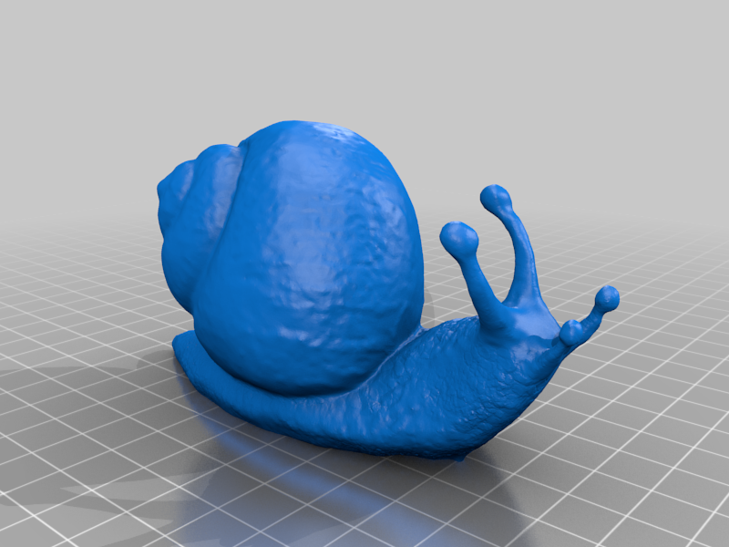 Snail