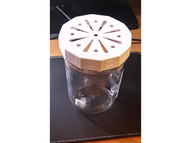 Canning Jar Sifter/Shaker Lid