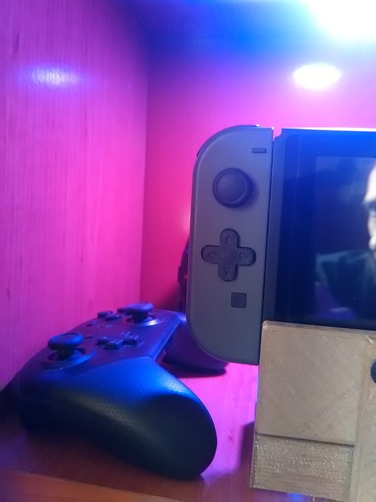 Nintendo switch pad