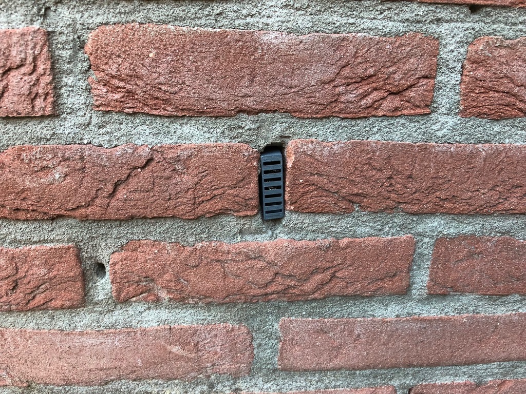 No Bees/Wasp in wall