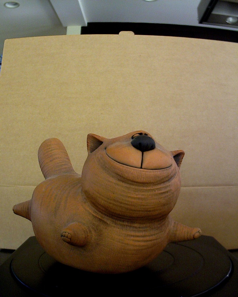 A fat Cat