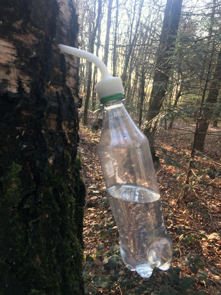 Tree Tap for Standart Bottle