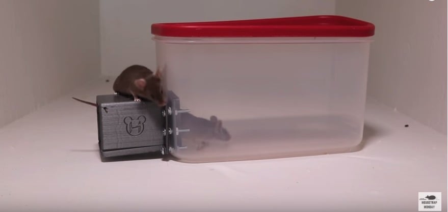 Mouse/rat trap