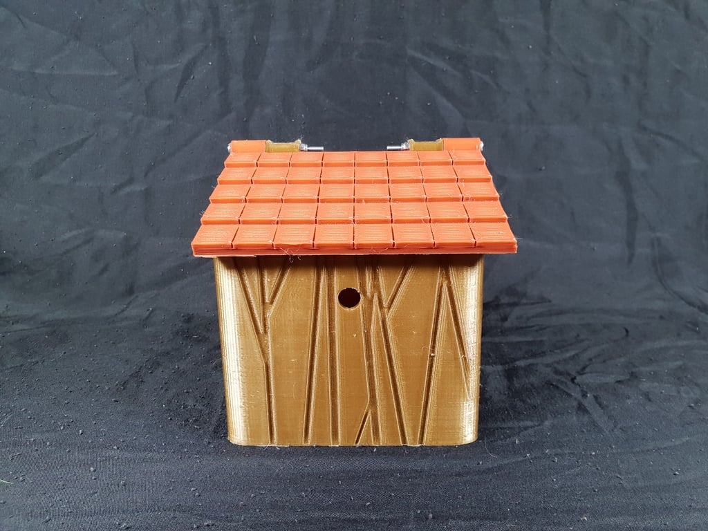 Birdhouse Camera Box