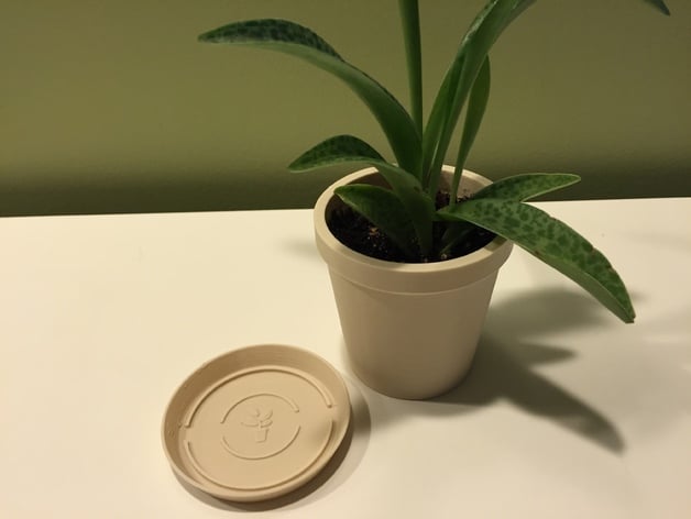 Plant pot and saucer with biofila linen