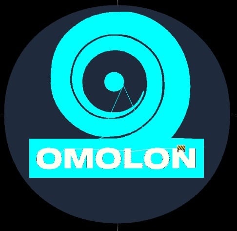 Destiny Omolon Logo Embroidery