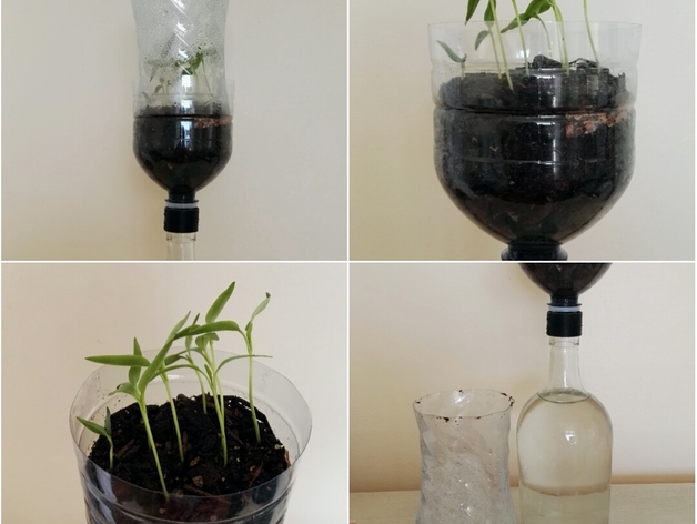 Passive hydroponic system for seedlings