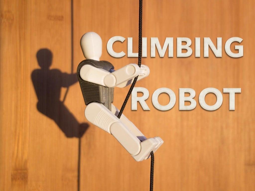 Climbing Robot