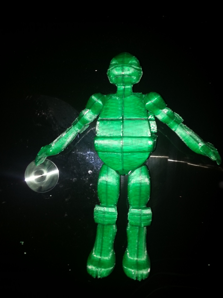 Ninja Turtle Action Figure - Individual Files